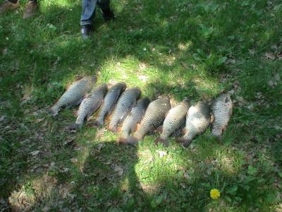 Прикрепленное изображение: DSC02627.JPG